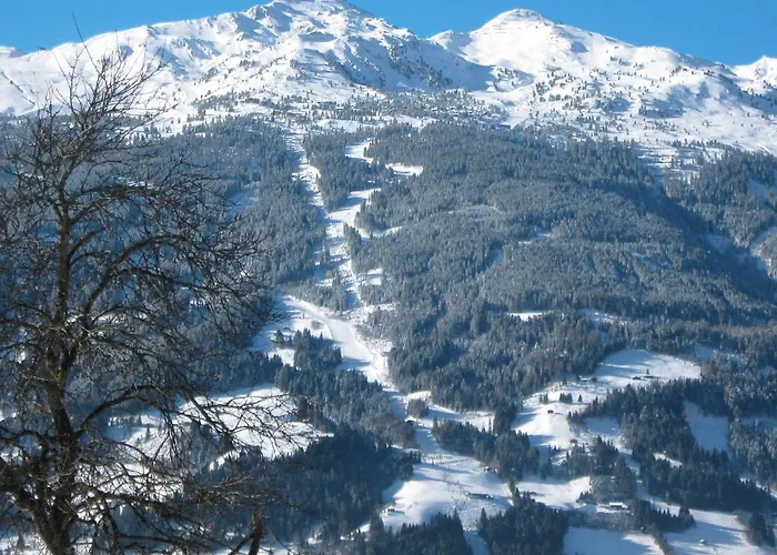 Schoeser By Interhome *