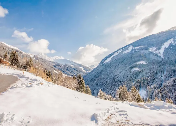 Schoeser By Interhome * ستام